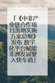 《中非产业链合作项目落地实施方案总纲》发布 数字化平台赋能非洲发展驶入快车道