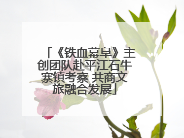 《铁血幕阜》主创团队赴平江石牛寨镇考察 共商文旅融合发展