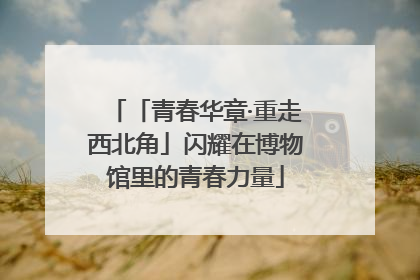 「青春华章·重走西北角」闪耀在博物馆里的青春力量