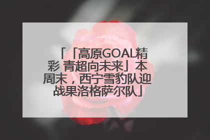 「高原GOAL精彩 青超向未来」本周末，西宁雪豹队迎战果洛格萨尔队