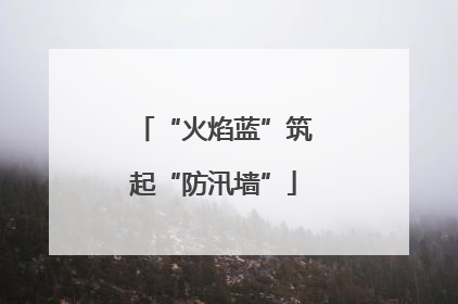 “火焰蓝”筑起“防汛墙”