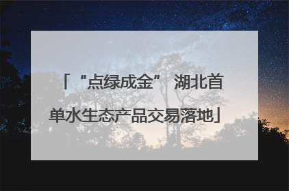 “点绿成金” 湖北首单水生态产品交易落地