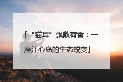“猫耳”飘散荷香：一座江心岛的生态蜕变