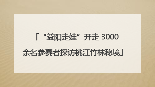 “益阳走娃”开走 3000余名参赛者探访桃江竹林秘境