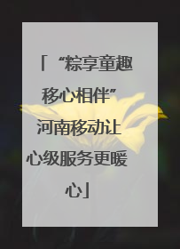 “粽享童趣 移心相伴” 河南移动让心级服务更暖心