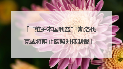 “维护本国利益” 斯洛伐克或将阻止欧盟对俄制裁