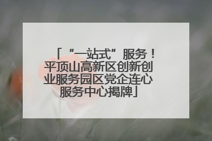 “一站式”服务！平顶山高新区创新创业服务园区党企连心服务中心揭牌