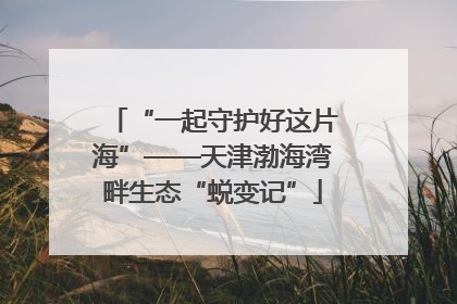 “一起守护好这片海”——天津渤海湾畔生态“蜕变记”