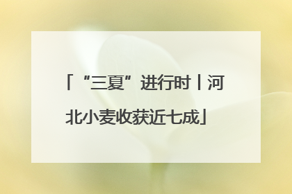 “三夏”进行时丨河北小麦收获近七成