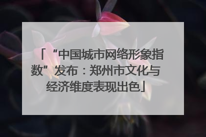 “中国城市网络形象指数”发布：郑州市文化与经济维度表现出色
