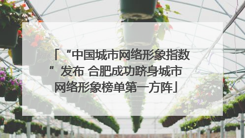 “中国城市网络形象指数”发布 合肥成功跻身城市网络形象榜单第一方阵