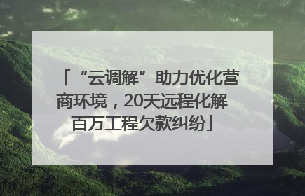 “云调解”助力优化营商环境，20天远程化解百万工程欠款纠纷