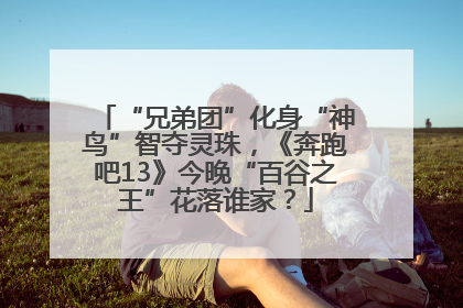 “兄弟团”化身“神鸟”智夺灵珠，《奔跑吧13》今晚“百谷之王”花落谁家？