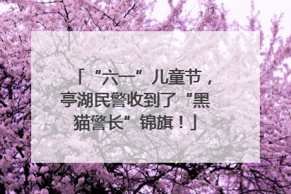 “六一”儿童节，亭湖民警收到了“黑猫警长”锦旗！