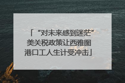 “对未来感到迷茫” 美关税政策让西雅图港口工人生计受冲击