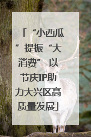 “小西瓜”提振“大消费” 以节庆IP助力大兴区高质量发展