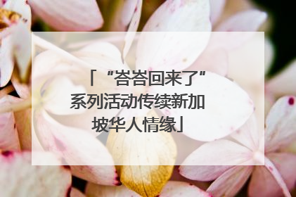 “峇峇回来了”系列活动传续新加坡华人情缘