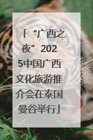 “广西之夜”2025中国广西文化旅游推介会在泰国曼谷举行