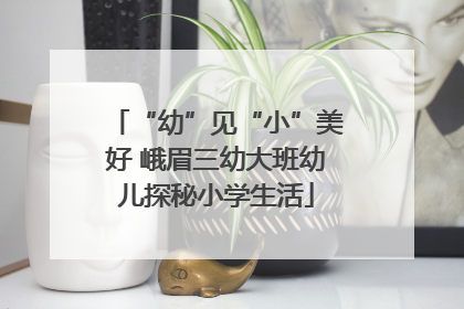 “幼”见“小”美好 峨眉三幼大班幼儿探秘小学生活
