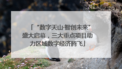 “数字天山·智创未来”盛大启幕，三大重点项目助力区域数字经济腾飞