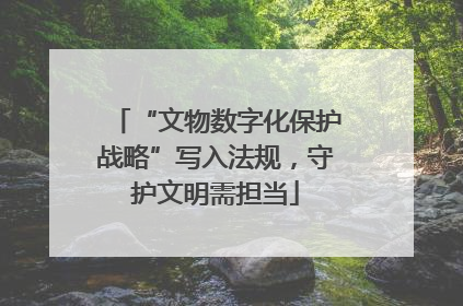 “文物数字化保护战略”写入法规，守护文明需担当