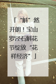 “斛”然开朗！宝山罗泾石斛花节绽放“花样经济”