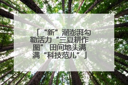 “新”潮澎湃勾勒活力“三夏耕作图” 田间地头满满“科技范儿”