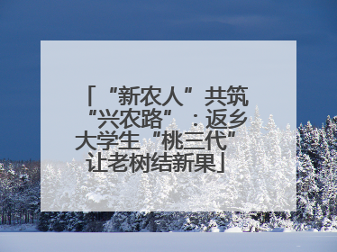 “新农人”共筑“兴农路”：返乡大学生“桃三代”让老树结新果