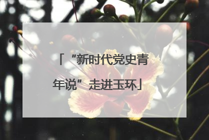 “新时代党史青年说”走进玉环