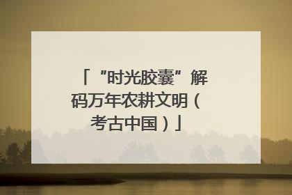 “时光胶囊”解码万年农耕文明（考古中国）