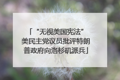 “无视美国宪法” 美民主党议员批评特朗普政府向洛杉矶派兵