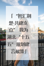 “智汇荆楚·共建支点” 我为湖北“十五五”规划建言献策