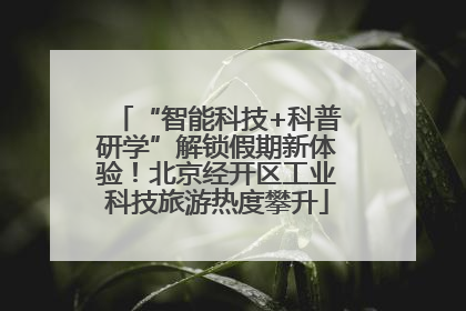 “智能科技+科普研学”解锁假期新体验！北京经开区工业科技旅游热度攀升