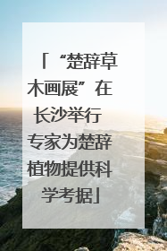 “楚辞草木画展”在长沙举行 专家为楚辞植物提供科学考据