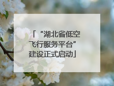 “湖北省低空飞行服务平台”建设正式启动