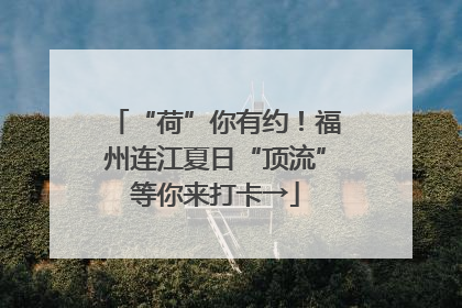 “荷”你有约！福州连江夏日“顶流”等你来打卡→