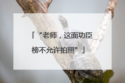 “老师，这面功臣榜不允许拍照”