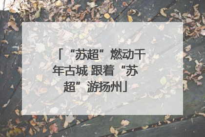 “苏超”燃动千年古城 跟着“苏超”游扬州