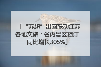 “苏超”出圈联动江苏各地文旅：省内景区预订同比增长305%