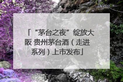 “茅台之夜”绽放大阪 贵州茅台酒（走进系列）上市发布