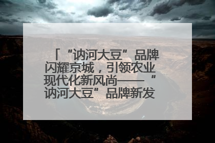 “讷河大豆”品牌闪耀京城，引领农业现代化新风尚——“讷河大豆”品牌新发地推介会圆满落幕