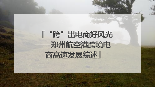 “跨”出电商好风光——郑州航空港跨境电商高速发展综述