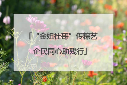 “金姐桂哥”传粽艺 企民同心助残行