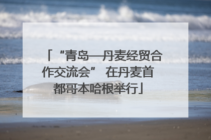 “青岛—丹麦经贸合作交流会” 在丹麦首都哥本哈根举行