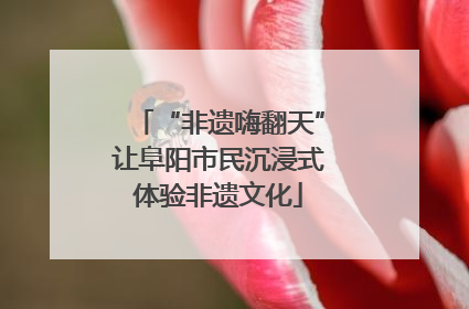 “非遗嗨翻天”让阜阳市民沉浸式体验非遗文化