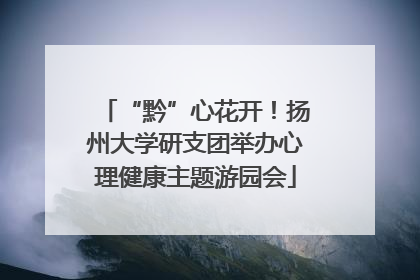 “黔”心花开！扬州大学研支团举办心理健康主题游园会
