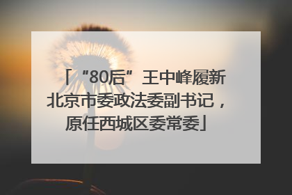 “80后”王中峰履新北京市委政法委副书记，原任西城区委常委