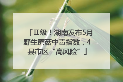 Ⅱ级！湖南发布5月野生蘑菇中毒指数，4县市区“高风险”