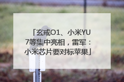 玄戒O1、小米YU7等集中亮相，雷军：小米芯片要对标苹果