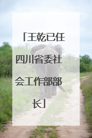 王乾已任四川省委社会工作部部长